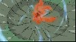 OUTPUT_000281.jpg
